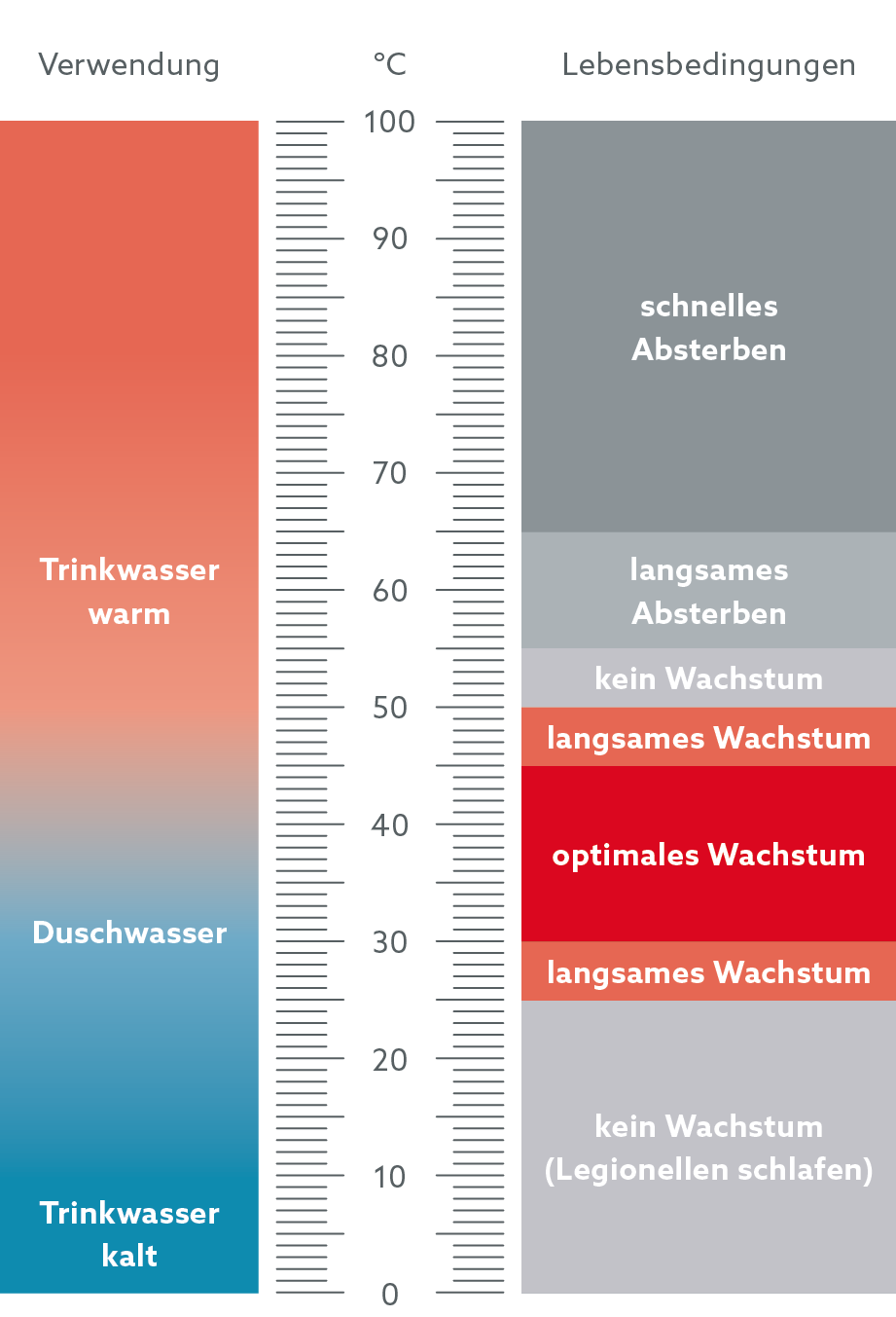 Legionellenwachstum im Trinkwasser